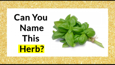 herb