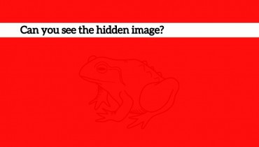 hidden-image
