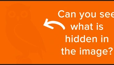 hidden-image