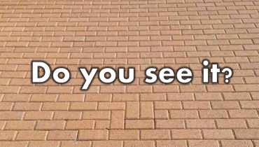 see