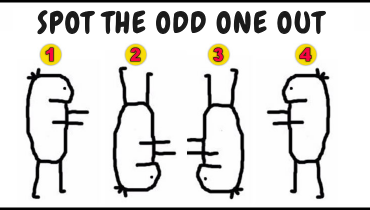 spot-the-odd-one-out